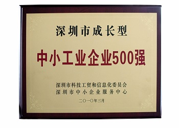 Shenzhen top 500 companies